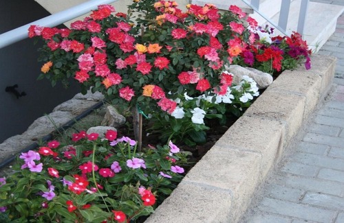 Borgia House | Baia dei Canonici Apartments