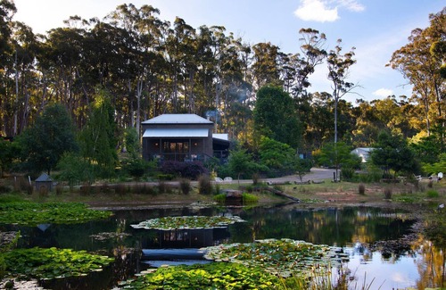Wheatsheaf House | Bainbridge House Beautiful bush views close to Daylesford