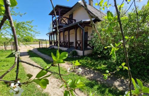 Kalkuni House | Bajāri - Viesu Māja