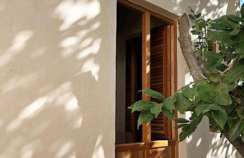 Campeche Bed & Breakfast | Bajo las Hojas