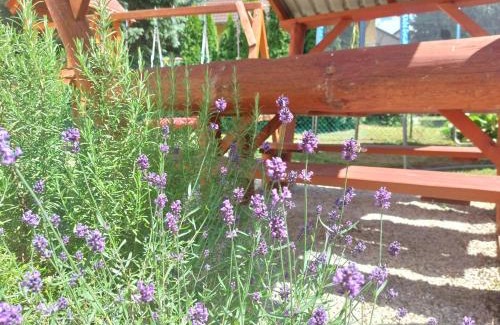 Vonyarcvashegy House | Balassa Családi Apartman