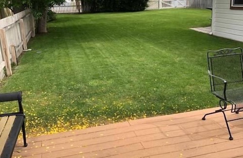 Cody House | Bales Cottage,walking distance to downtown & Buffalo Bill Center of the West!