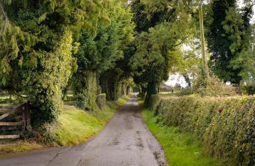 Athy Bed & Breakfast | Ballindrum Farm B&B
