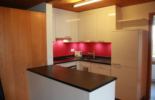 Murren Apartment | Balmi Apartment - in the heart of the Alps