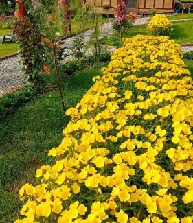 Corbeni House | Baltina Parc Transfagarasan