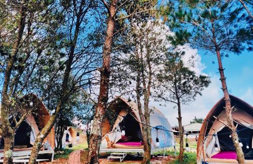 Bac Yen Other | Bamboo Glamping Tà Xùa