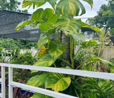 Binalonan House | Bamboo Orange Cabana and Studio
