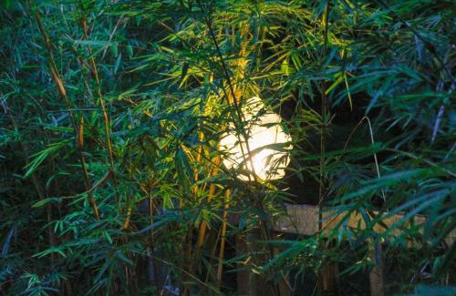 Bebandem House | Bamboohouse pondok salacca #salacca inn