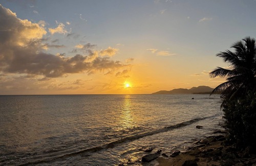 Esperanza Resort | Bananas Vieques Guesthouse Room 10/Vibrant Area/Private/Steps to the beach