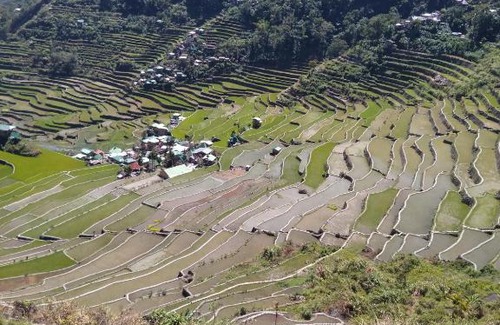 Batad House | Banaue Batad village homestay