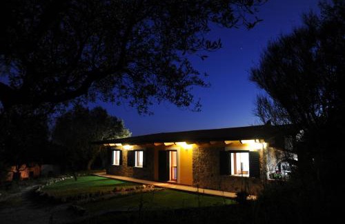 Ascea Apartment | Barnìa