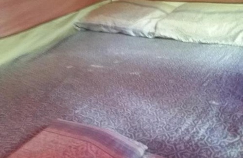 Alter do Chao Other | Barraca de Camping EccoMuna