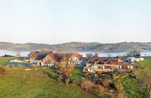 Waidhofen An Der Ybbs Apartment | Barrier-free holiday home (60sqm) with access to the garden