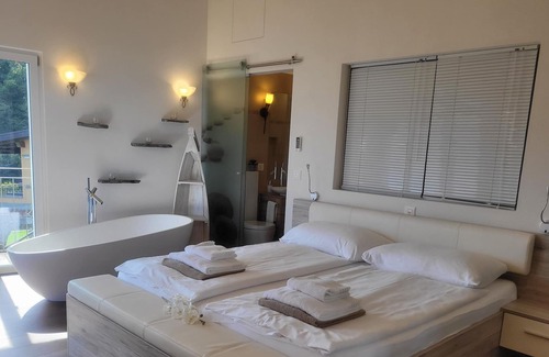 Brione sopra Minusio House | Barrier-free house with Jacuzzi, glass pool, PW charging station - dogs allowed!