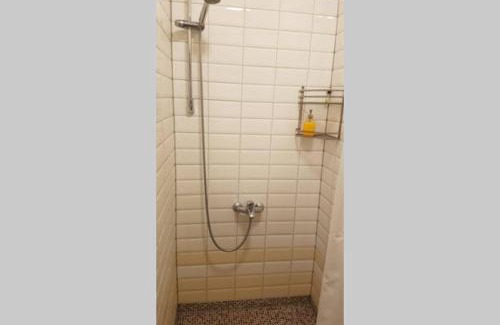 Siauliai City Center Apartment | Barrister's apartments with fireplace