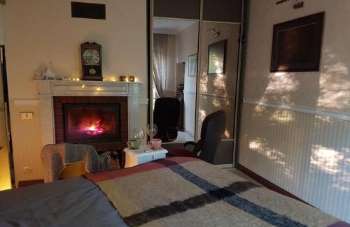 Siauliai City Center Apartment | Barrister's apartments with fireplace