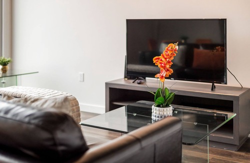 Ohio City Apartment | Barsala l Exceptional 1BD in a prime location!
