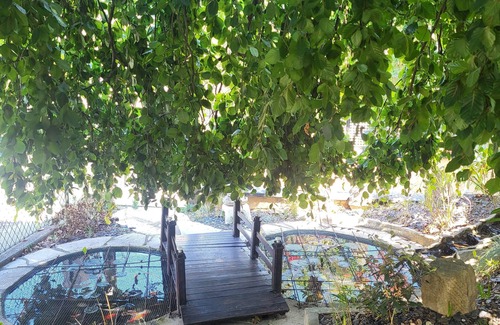 Quartier Saint-Leon Apartment | Basement apartment close to the center of Colmar, with private garden.