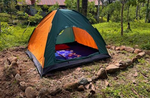 Bohorok Other | Batu Ridi Jungle
