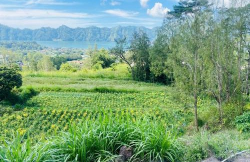 Toya Bungkah House | Batur Exotic Villa