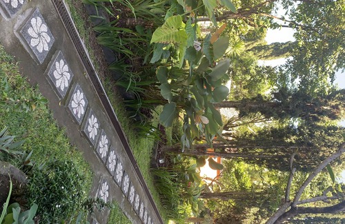 Toya Bungkah House | Batur Sunrise Guesthouse ~ Family room with garden view