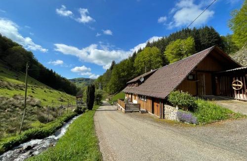Munstertal House | Bauernhaus im Münstertal