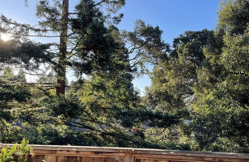 Berkeley House | Bay Area Treasure! Quiet, large home near dining, shop; 30 min to San Francisco