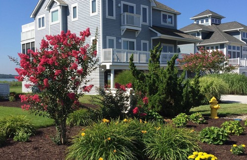 Bethany Beach House | Bayfront location yet 250 steps to ocean. Huge pool; 2 masters; 6 parking spaces