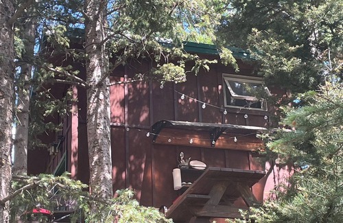 Fort Garland Cabin | Bayly's Treehouse Retreat