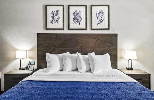 Ocala Hotel | Baymont by Wyndham Ocala Suites