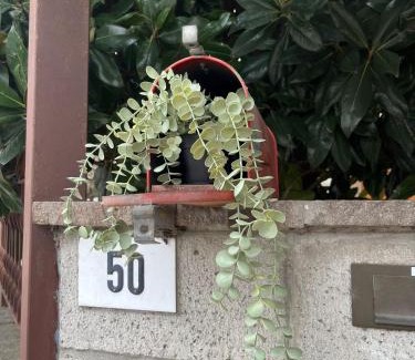 Forli House | BB Rooms