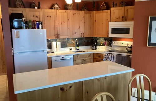 Tofte Condo | Be mesmerized by exceptional views of Lake Superior. Perched above the water!