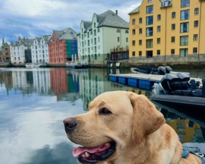 Ulstein Municipality Apartment | Beach front appartments in design eco-villa