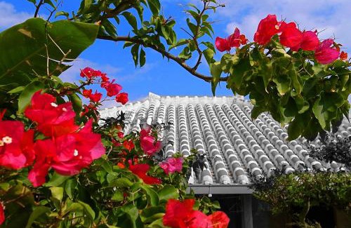 Yamanoha Apartment | Beach Front Nago Okinawa ビーチフロント名護沖縄