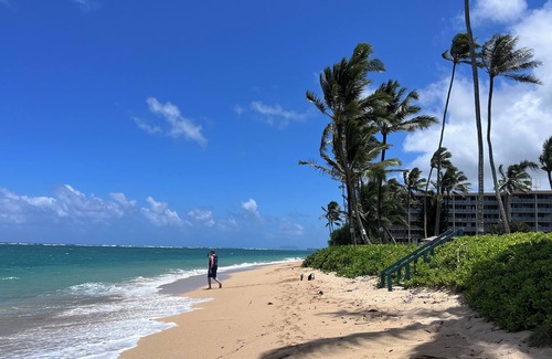 Punaluu Apartment | Beach Front Studio Condo with Secluded Beaches