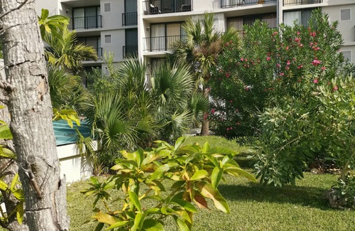 Williams Town Condo | Beach Front Studio For Rent in Freeport Grand Bahamas , Port Lucaya