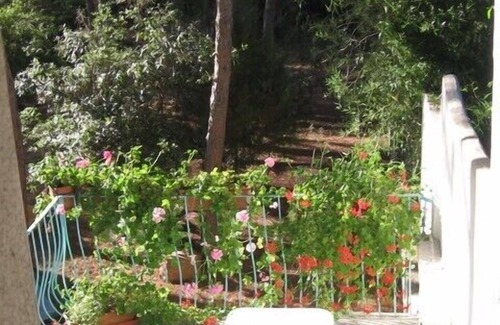 Cala Liberotto Apartment | Beach house in the pinewood with direct access to the beach in Sardinia