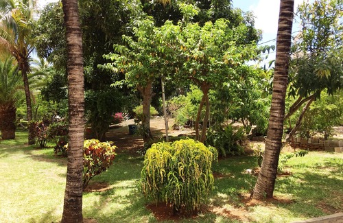 Grand Gaube Villa | Beachfront family bungalow with pool and top view - by feelluxuryholidays