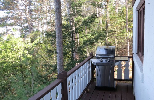 Harbor Springs House | Beachfront Lake Michigan Retreat -Sleeps 8- Private Beach & Stunning Sunsets