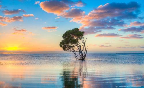 Beachmere Hotel | Beachmere Palms Motel