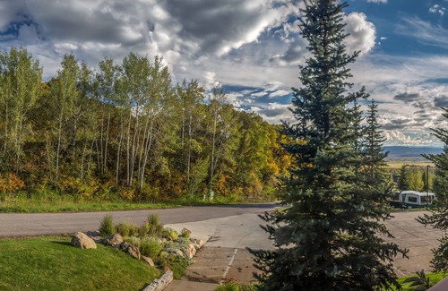 Steamboat Springs Condo | Bear Claw 100 On Mountain Studio With Ski-In/Ski-Out Access!