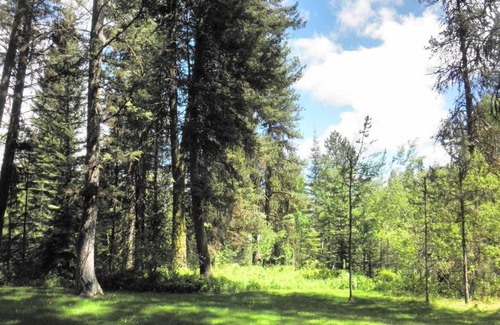 McCall House | Bear Lodge by Casago McCall - Donerightmanagement
