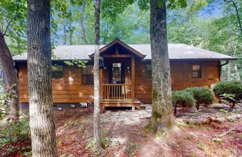 Hiawassee House | Bear Necessity Cabin