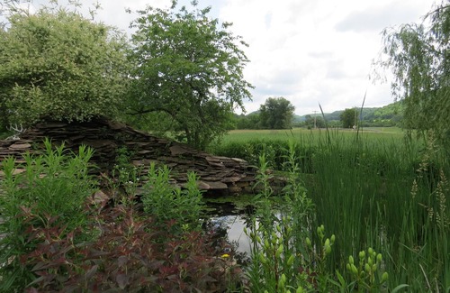 Sextonville Cabin | Bear Valley Outdoor Inn is an 'Oasis for Wildlife.'