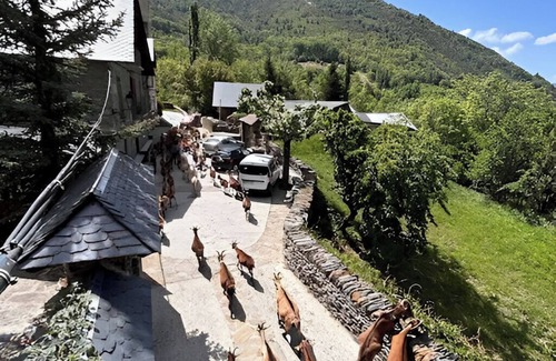 La Guingueta d'Aneu Cottage | Beautiful rural house with charm in les Valls d'Àneu.