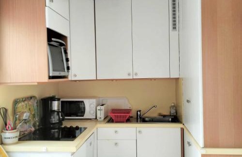 Villard-de-Lans Apartment | Beau T2 cabine avec parking privé à Villard-de-Lans - FR-1-761-44