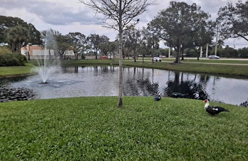 North Lauderdale House | Beautiful 1 bedroom in house over looking lake in a quiet community.