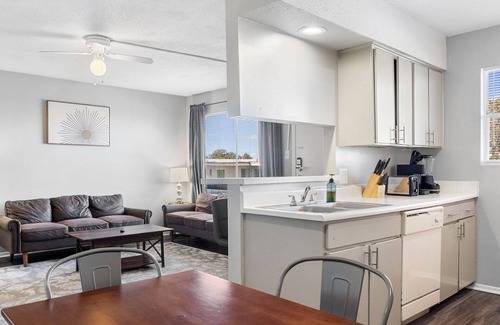 North University Apartment | Beautiful 2BR/2BA in Hydepark 5273