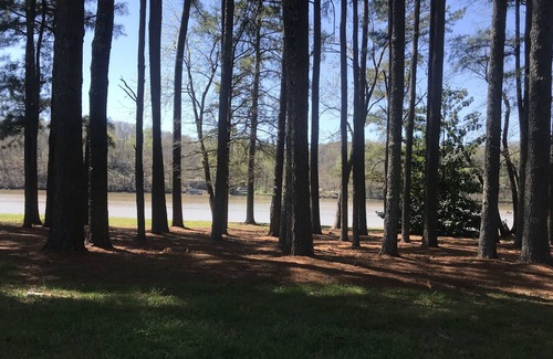 Athens RV Rental | Beautiful and level camping site on Elk River.