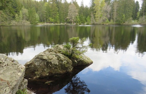 Hinterzarten Apartment | Beautiful apartment for 4 guests with WIFI, TV, terrace and parking